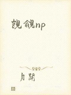 觊觎np