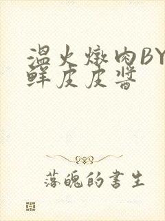 温火炖肉BY海鲜皮皮酱封面