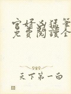 官婿凶猛笔趣阁免费阅读全文封面