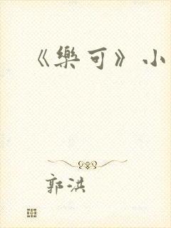 《乐可》小说封面