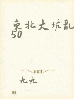 东北大坑乱1—50封面