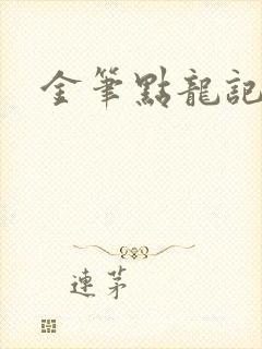 金笔点龙记封面