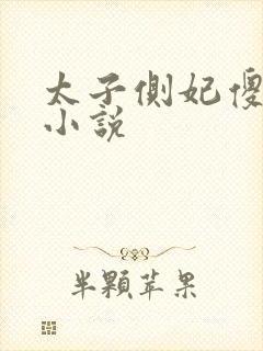 太子侧妃傻乎乎小说封面