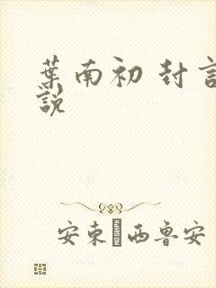 叶南初 封言小说