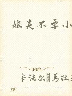 姐夫不要小说