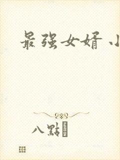 最强女婿 小说