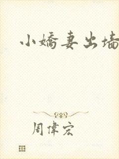小娇妻出墙记封面
