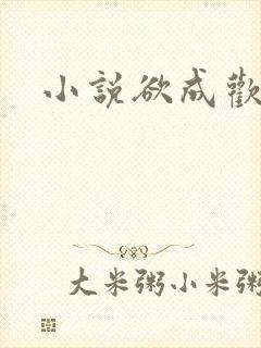小说欲成欢
