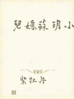 儿媳苏玥小说