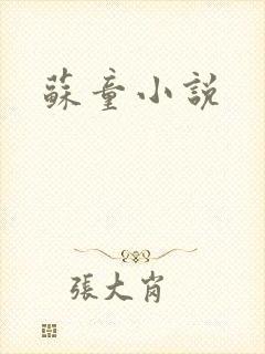 苏童小说