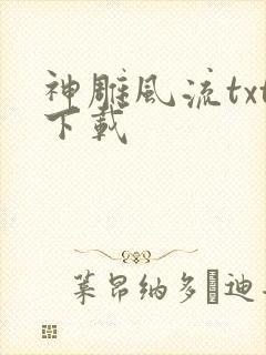 神雕风流txt下载
