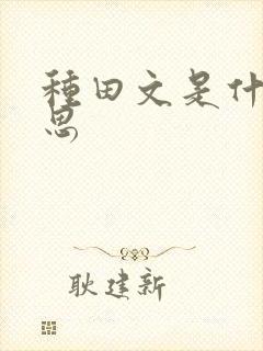 种田文是什么意思