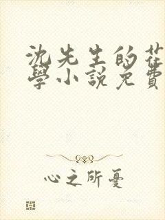沈先生的花式教学小说免费封面