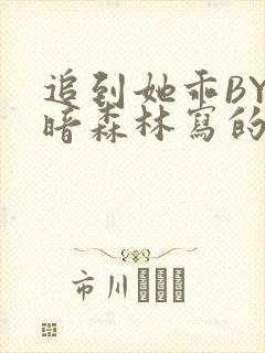 追到她乖BY黑暗森林写的小说封面