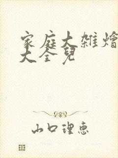 家庭大杂烩小说大全儿封面