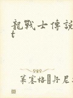 龙战士传说txt封面