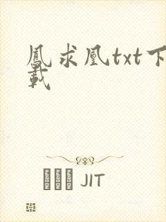 凤求凰txt下载