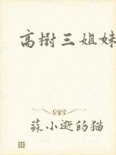 高树三姐妹小说封面