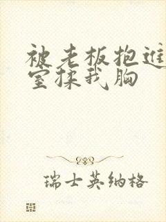 被老板抱进办公室揉我胸