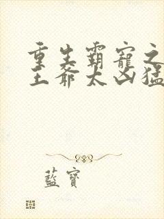 重生霸宠之摄政王爷太凶猛
