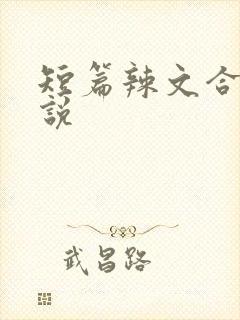 短篇辣文合集小说