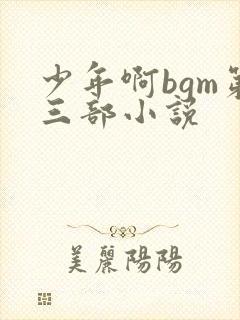 少年啊bgm第三部小说