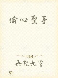 偷心圣手