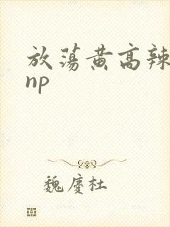 放荡黄高辣h文np封面