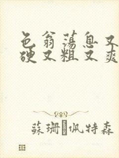 色翁荡息又大又硬又粗又爽小莹