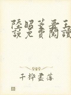 陆昭菱晋王的小说免费阅读