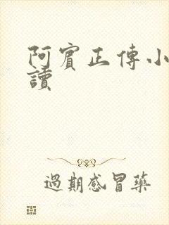 阿宾正传小说在读