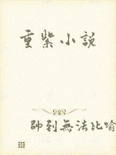 重紫小说