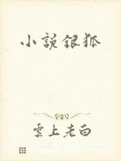 小说银狐