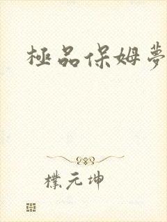 极品保姆梦梦封面