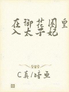 在御花园皇上进入太子妃封面