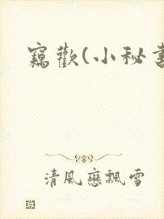 窃欢(小秘书)