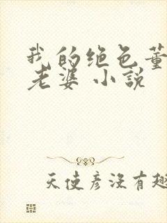 我的绝色董事长老婆 小说封面