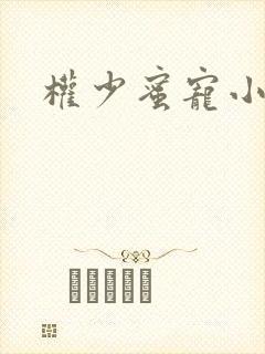 权少蜜宠小娇妻