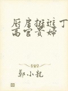 厨房挺进丁字裤高官贵妇