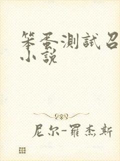 笨蛋测试召唤兽小说