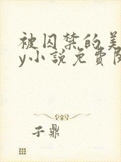 被囚禁的美人by小说免费阅读封面