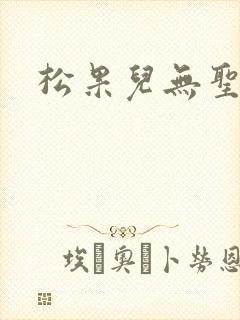 松果儿无圣光封面