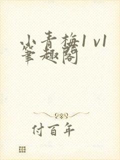 小青梅1 v1笔趣阁