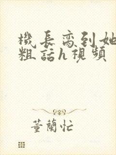 机长脔到她哭h粗话h视频