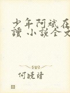 少年阿斌在线阅读 小说全文免费