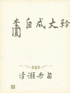 李自成大干陈圆圆封面