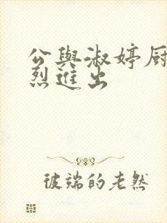 公与淑婷厨房猛烈进出