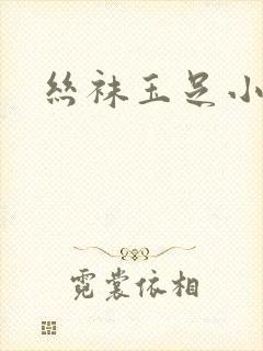 丝袜玉足小说