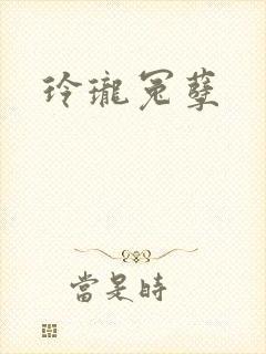 玲珑冤孽