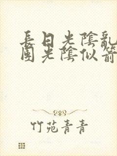 长日光阴乱作一团光阴似箭